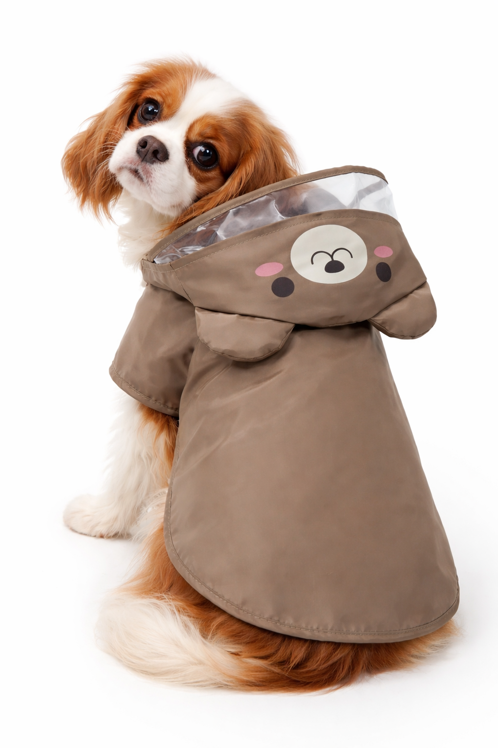 Bear Rain Jacket