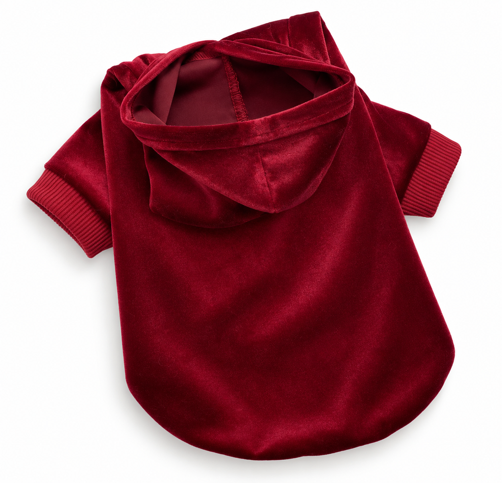 Velvet Bear Hoodie