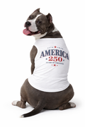 250 Anniversary Patriotic Tee