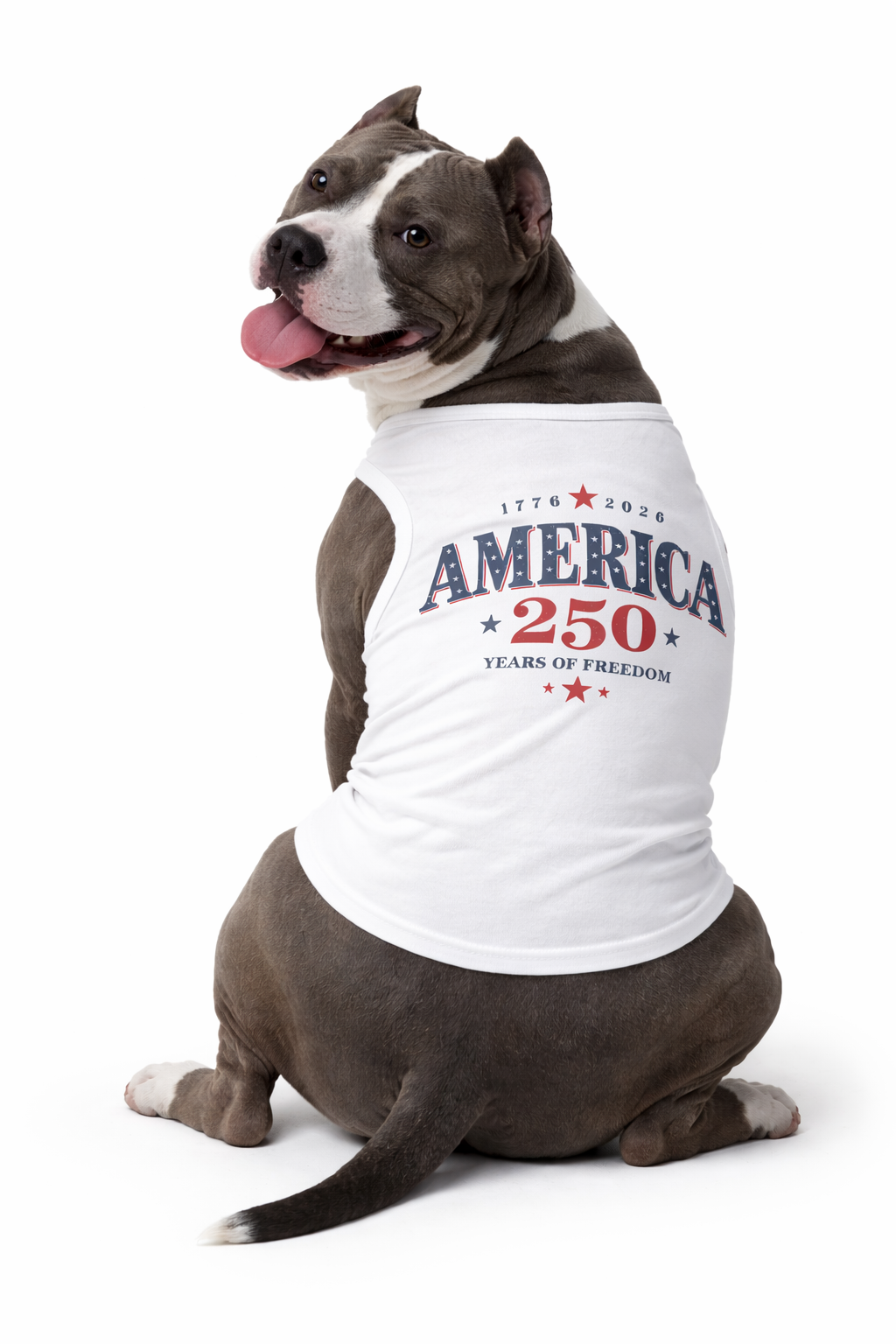 250 Anniversary Patriotic Tee