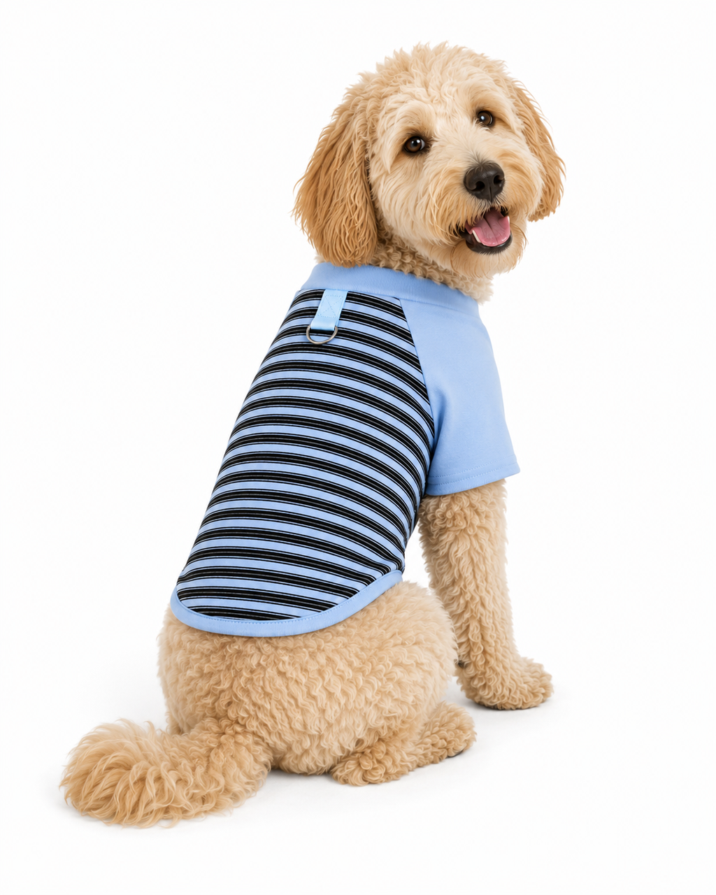 Blue Striped Shirt