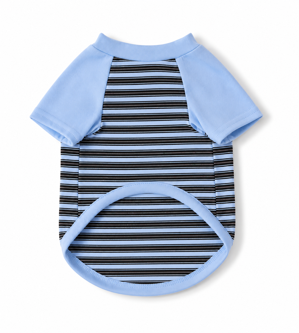 Blue Striped Shirt
