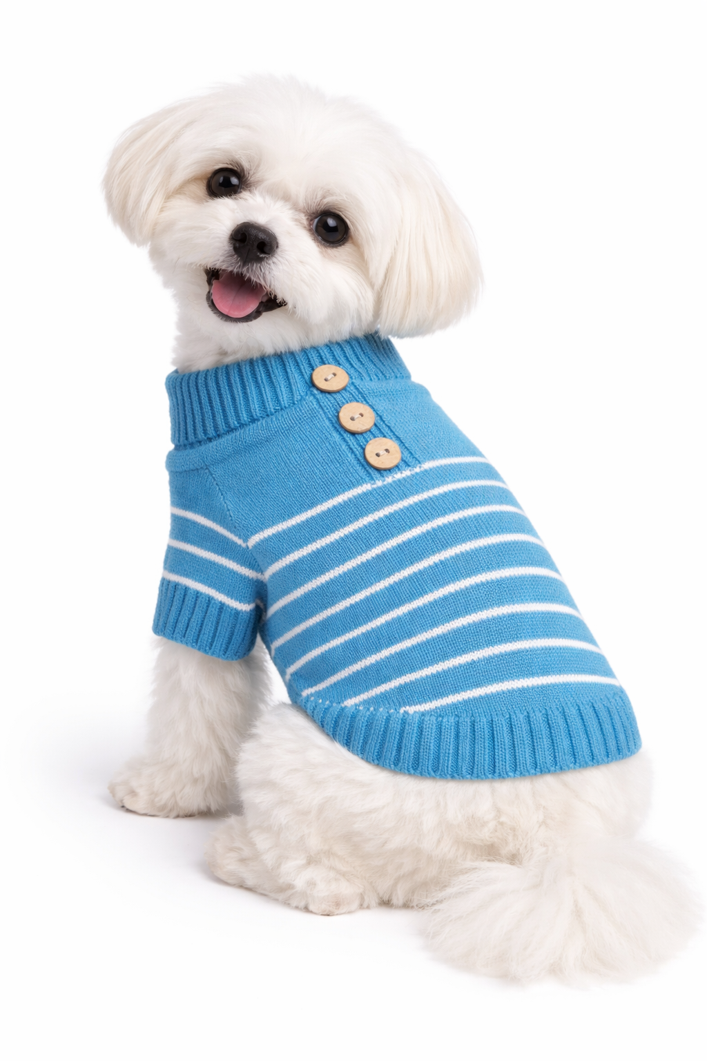 Blue Striped Sweater