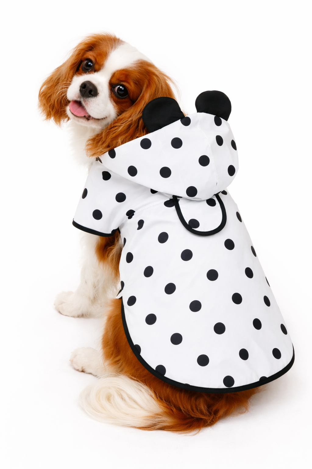 Polka Dot Rain Jacket