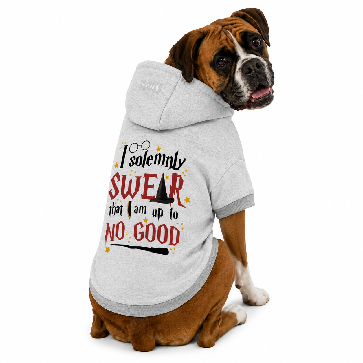 Solemnly Swear Top