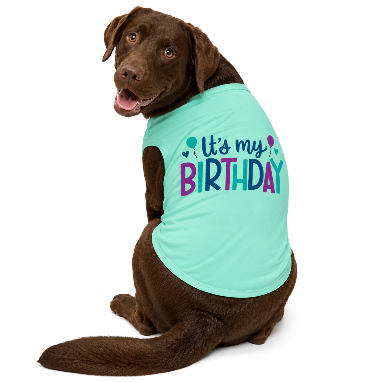 It's My Birthday!