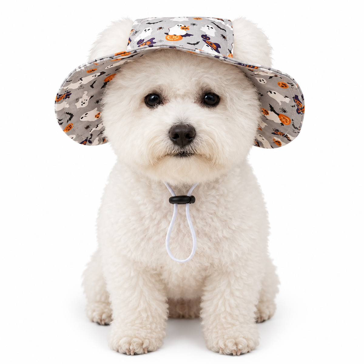 Grey Halloween Dog Hat