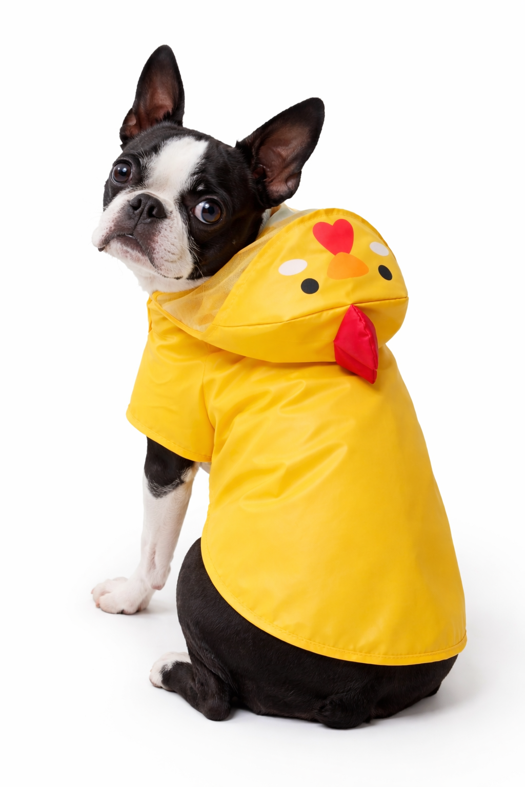 Chicken Rain Jacket