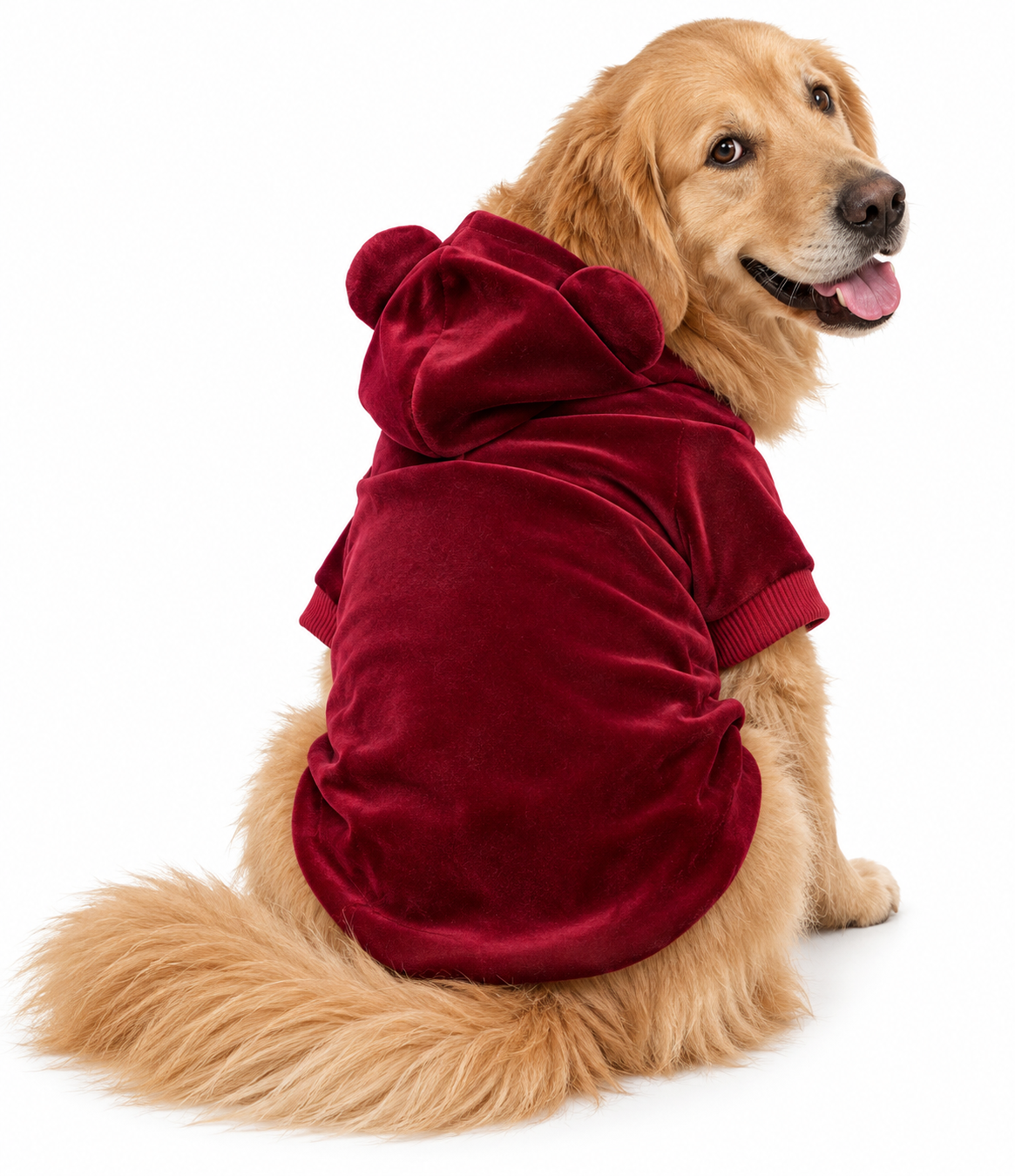 Velvet Bear Hoodie