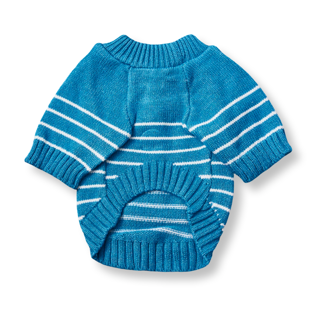 Blue Striped Sweater