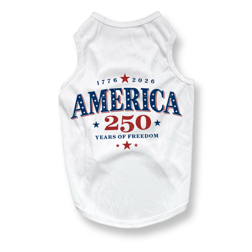 250 Anniversary Patriotic Tee