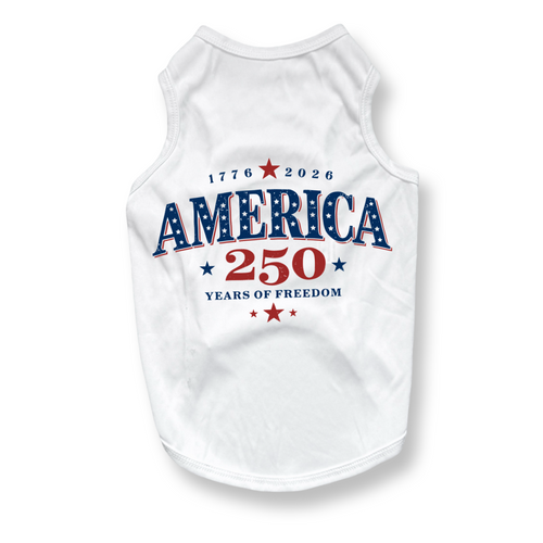 250 Anniversary Patriotic Tee