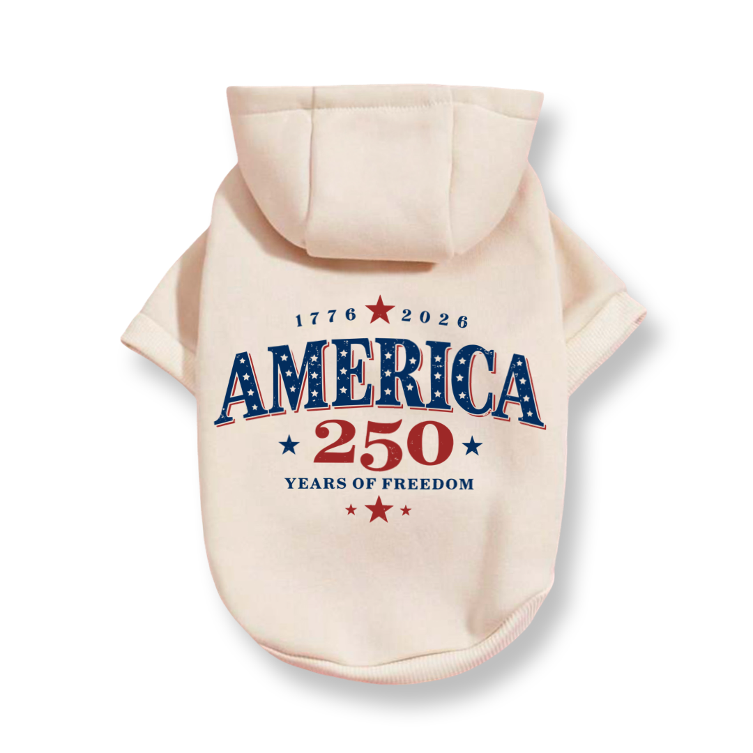 250 Anniversary Patriotic Tee
