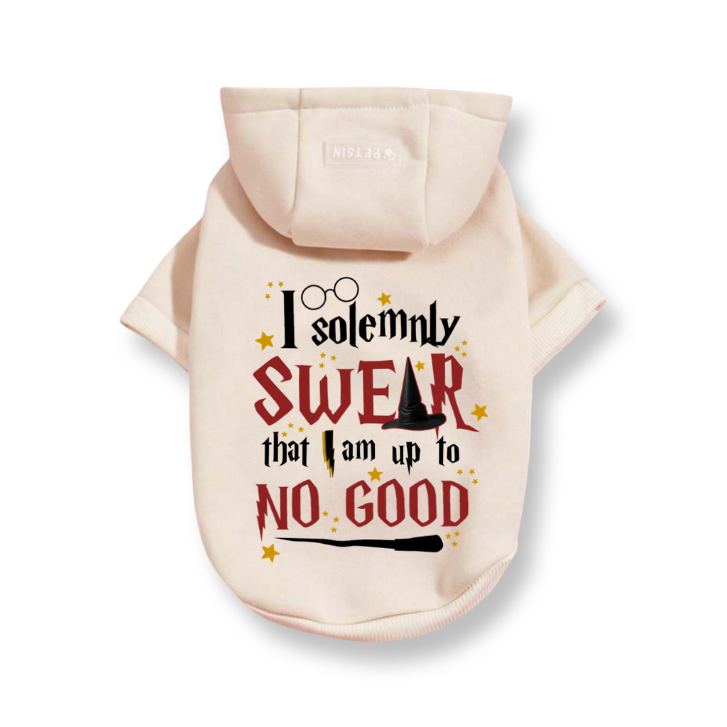 Solemnly Swear Top
