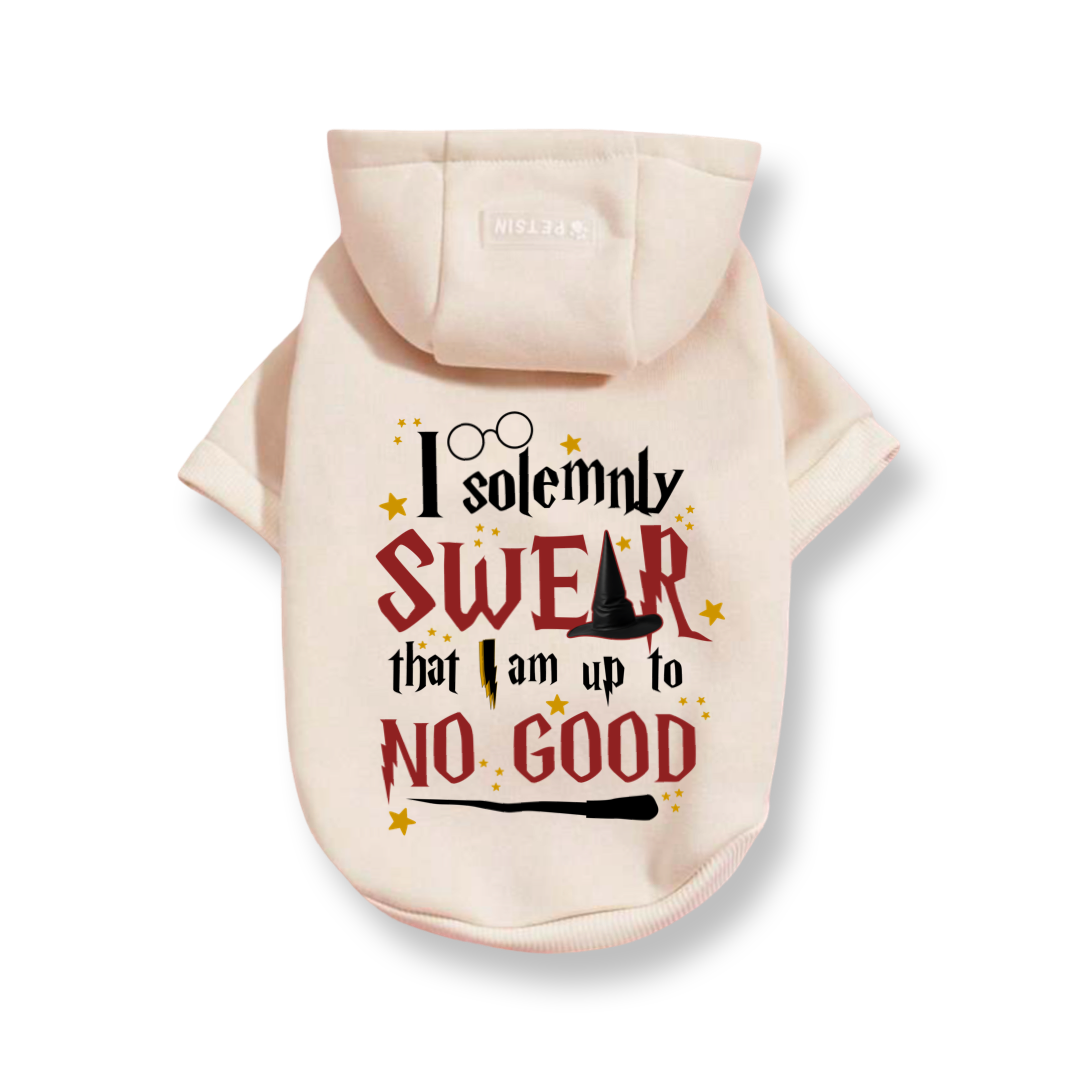 Solemnly Swear Top