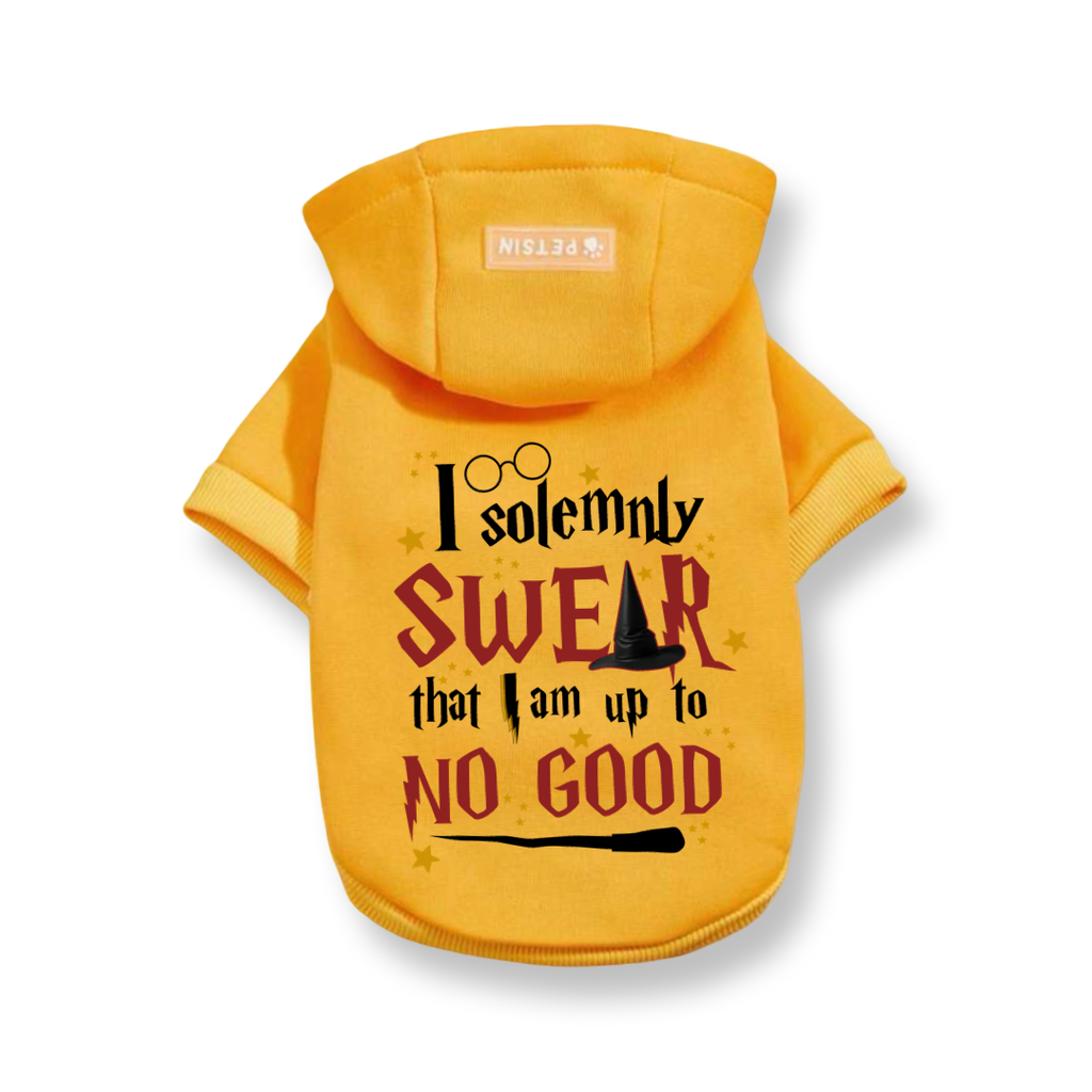Solemnly Swear Top