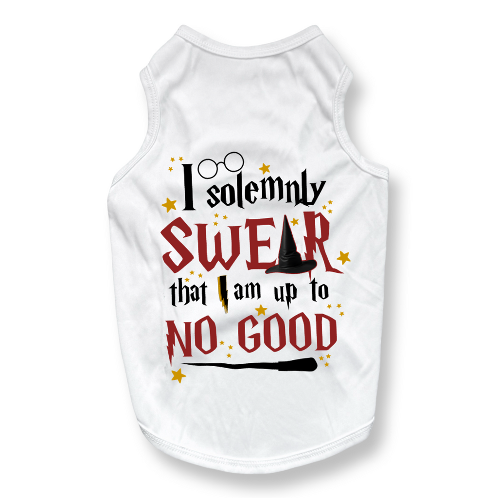 Solemnly Swear Top