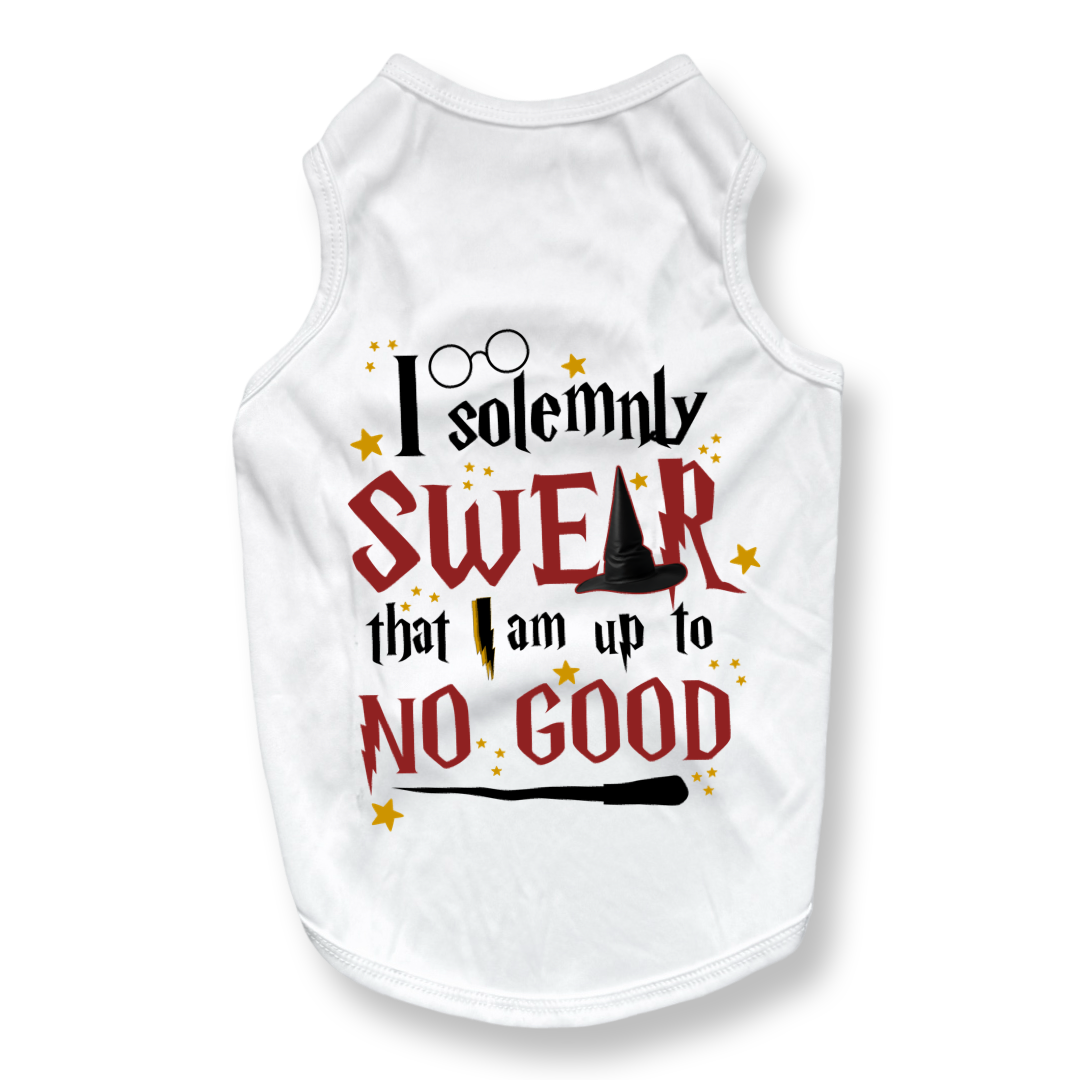 Solemnly Swear Top