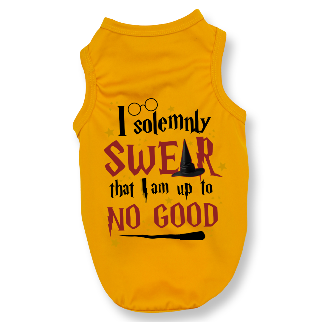 Solemnly Swear Top