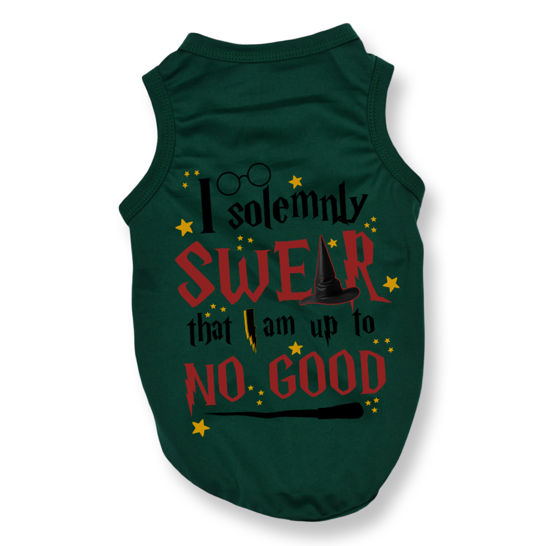 Solemnly Swear Top