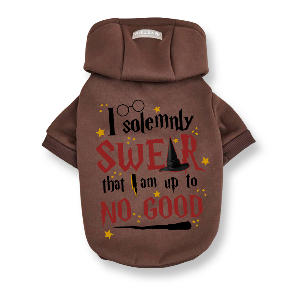 Solemnly Swear Top
