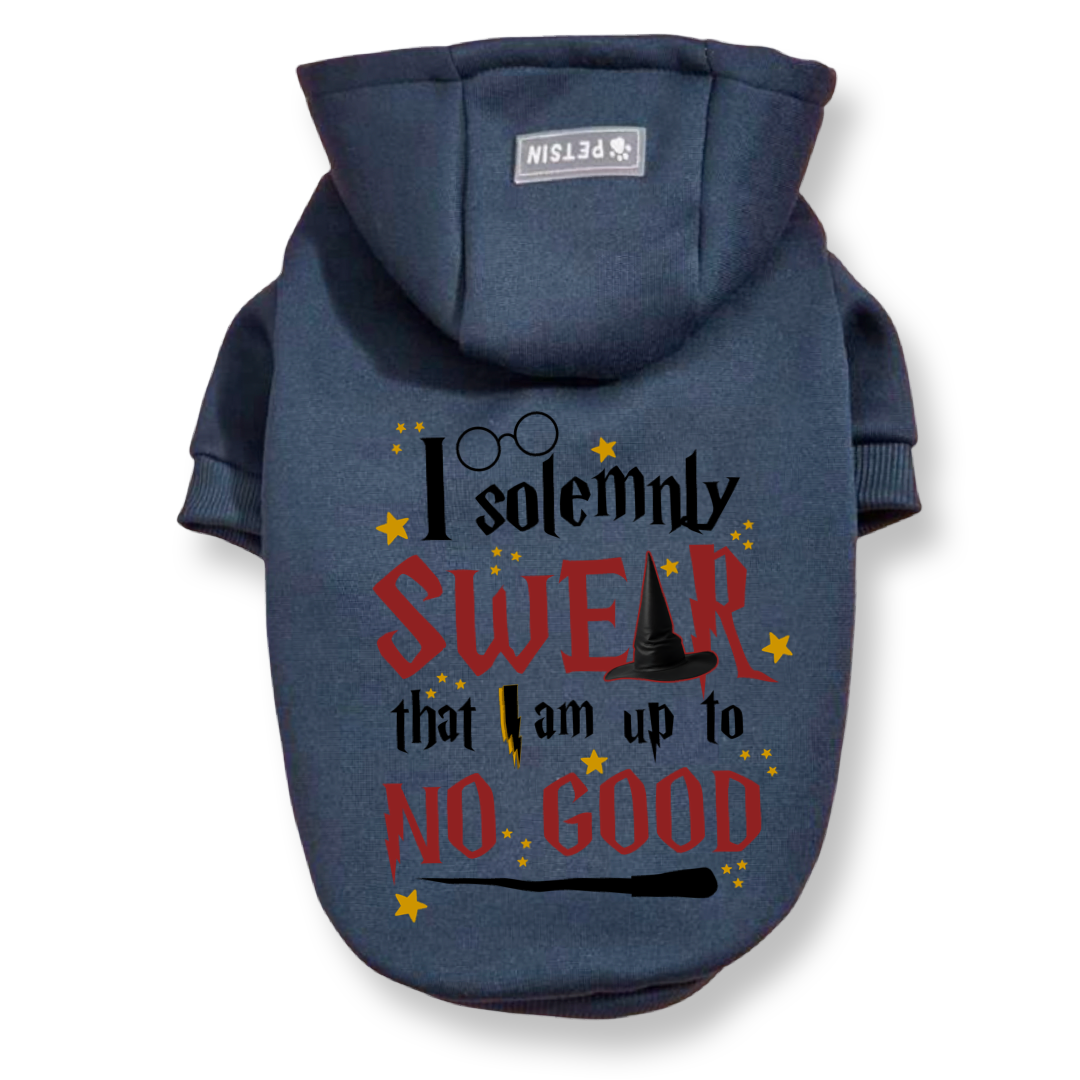 Solemnly Swear Top