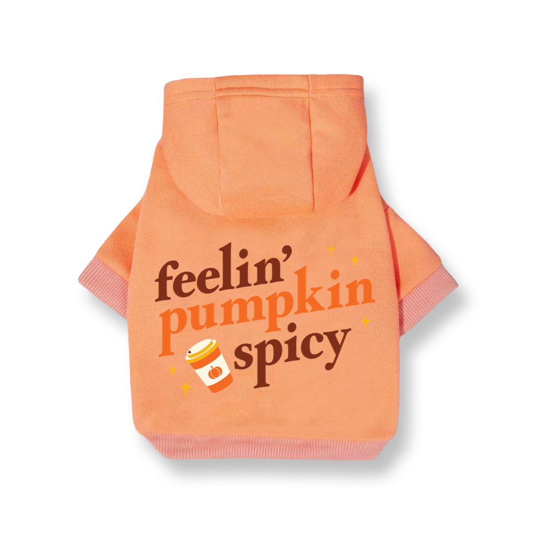 Feelin' Pumpkin Spicy Hoodie