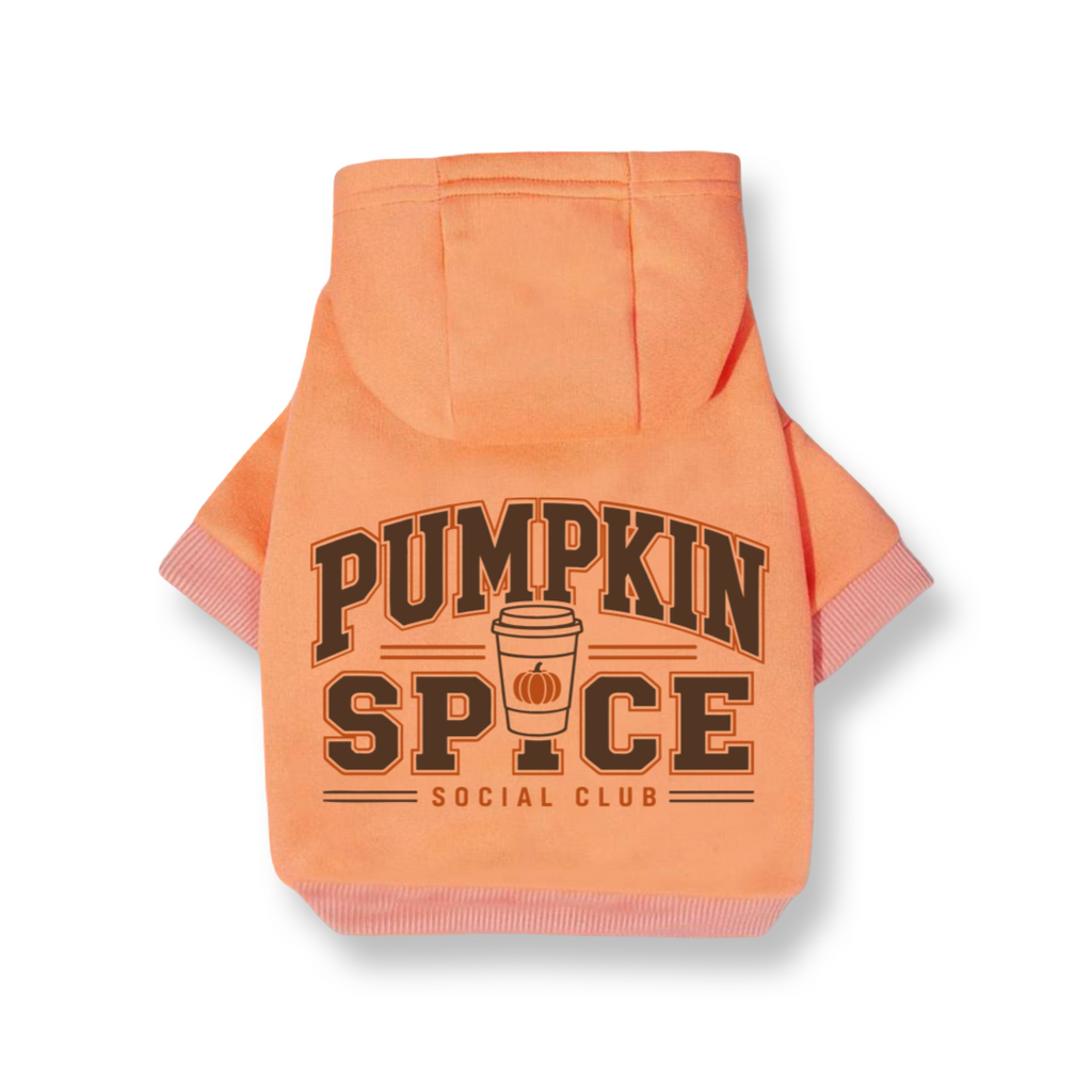 Pumpkin Spice Club Hoodie