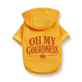 Oh My Gourdness Hoodie