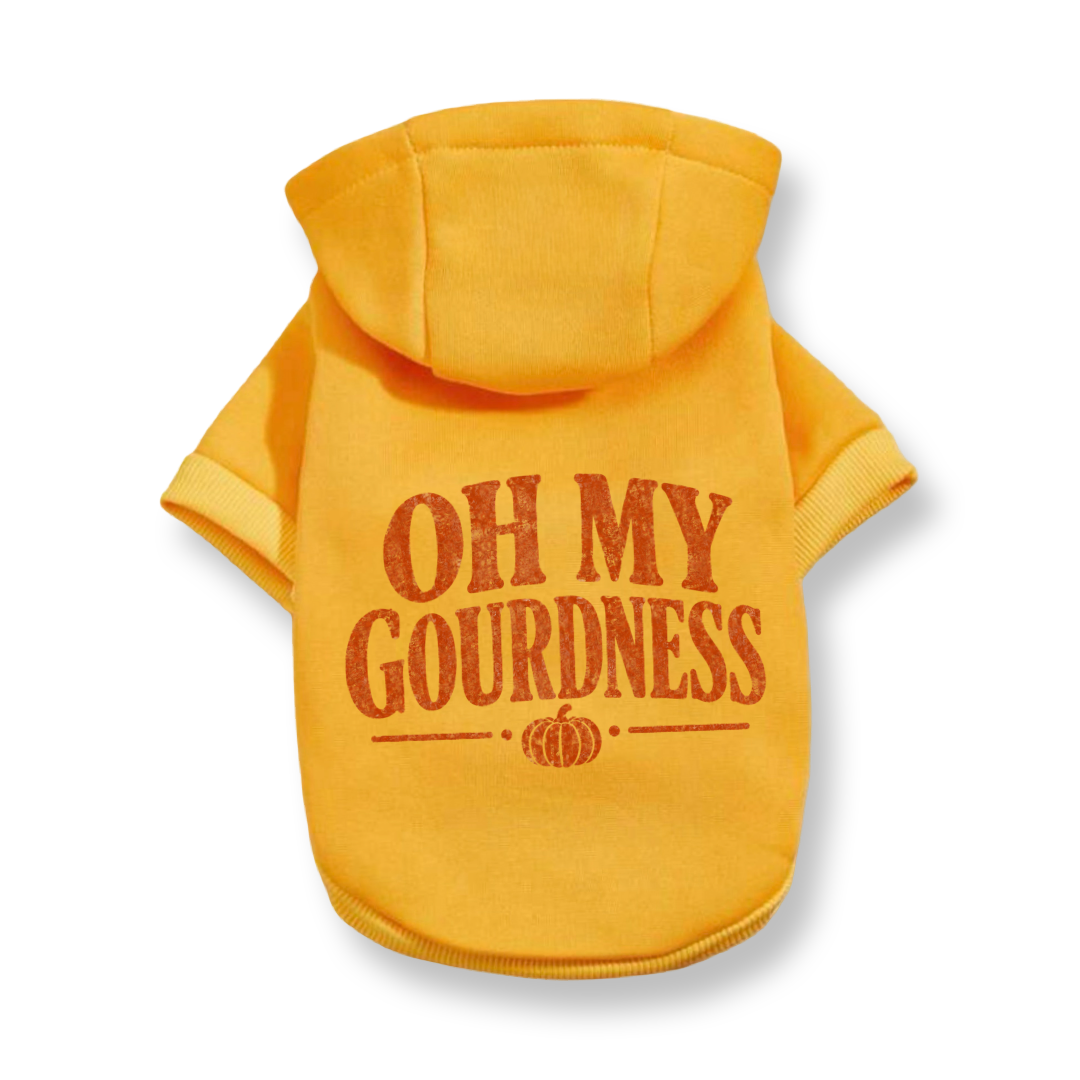 Oh My Gourdness Hoodie