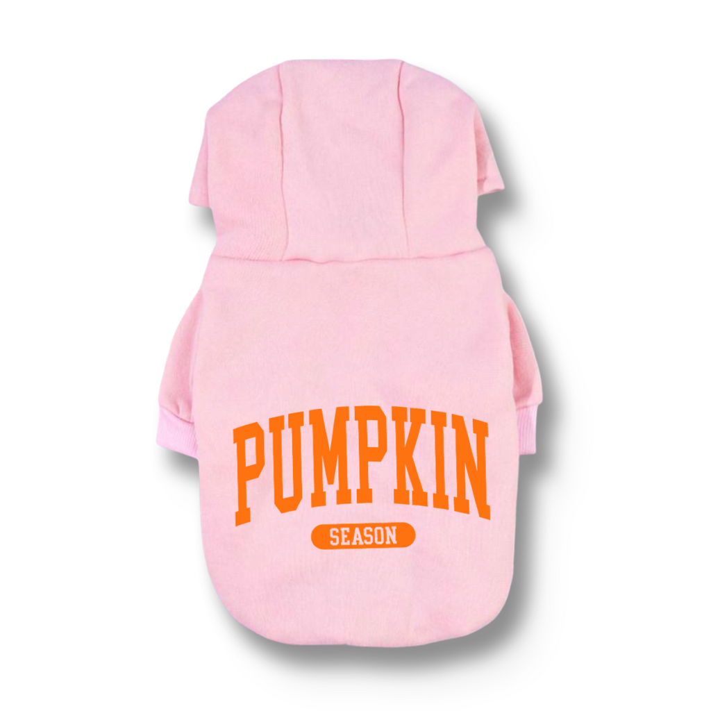 Pumpkin Season Hoodie
