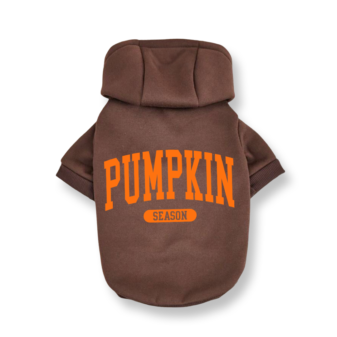 Pumpkin Season Hoodie