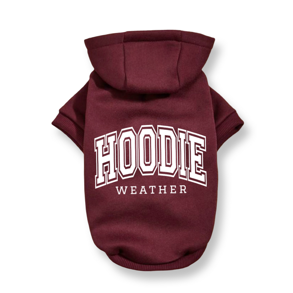 Hoodie Weather Hoodie