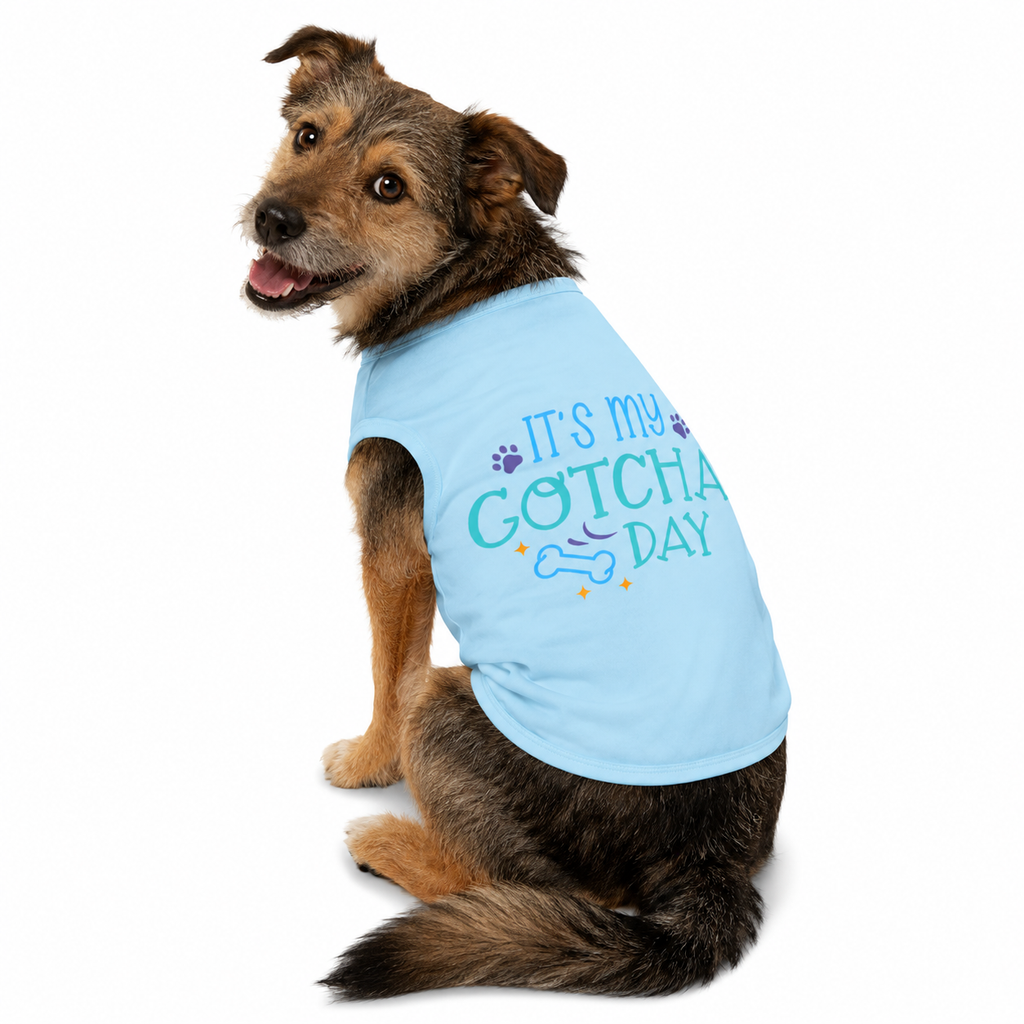 It's My Gotcha Day in Blue
