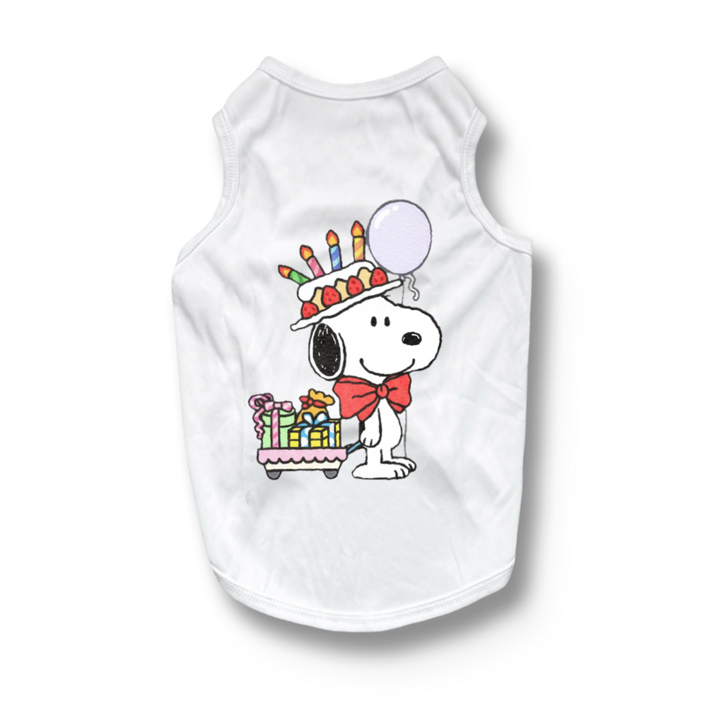 Beagle Birthday Presents