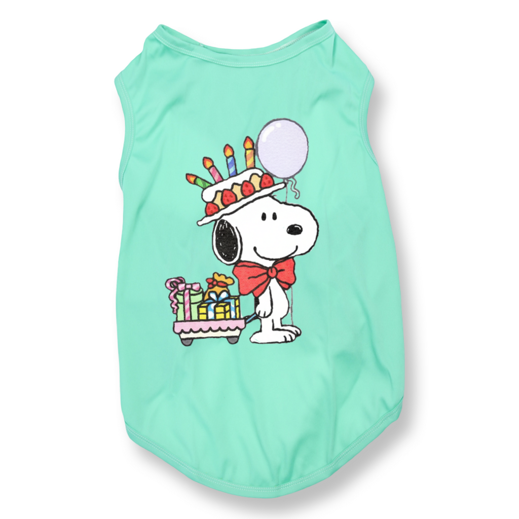 Beagle Birthday Presents