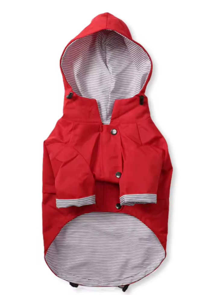 Red Stripe Rain Jacket