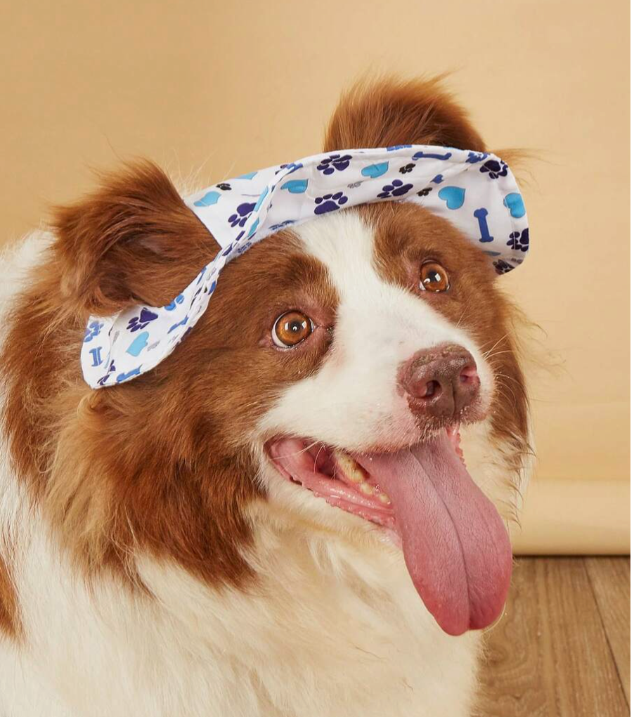 Blue Bones Sun Hat