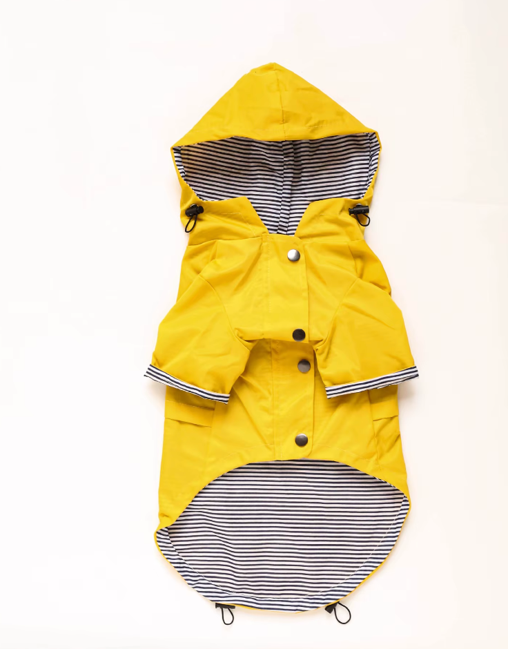 Yellow Stripe Rain Jacket