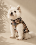 Furbuddy Plaid Vest